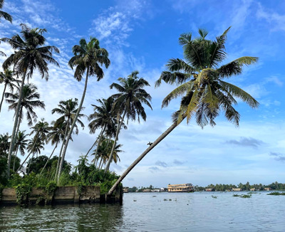 Alleppey Backwaters